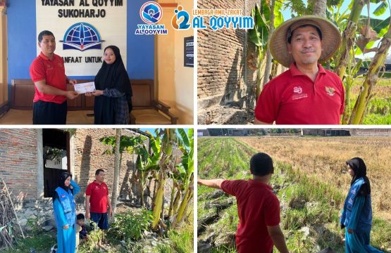 Pak Mardi zakat pertanian